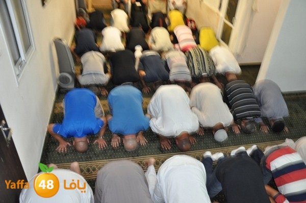 trawe7 fate7 mosque 715 (16).JPG